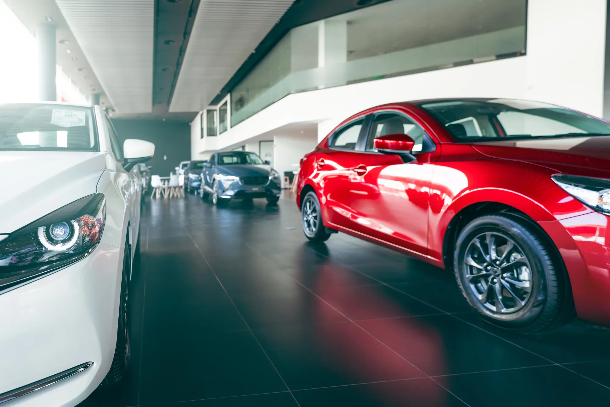 x car rental