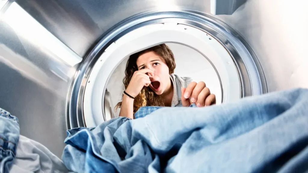 Can We Sash Soft Toys In Washing Machine