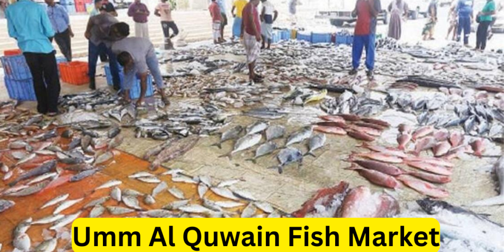 Umm Al Quwain Fish Market