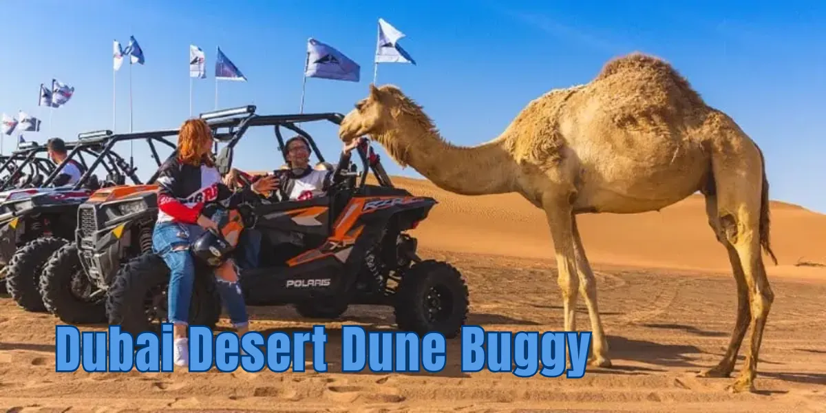 Dubai Desert Dune Buggy