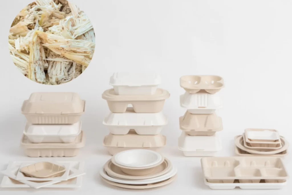 Bagasse Pulp Tableware A Sustainable Alternative to Plastic