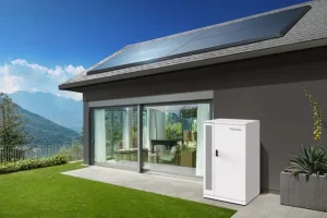 Utility-Scale Energy Storage of Tecloman for a More Sustainable Future