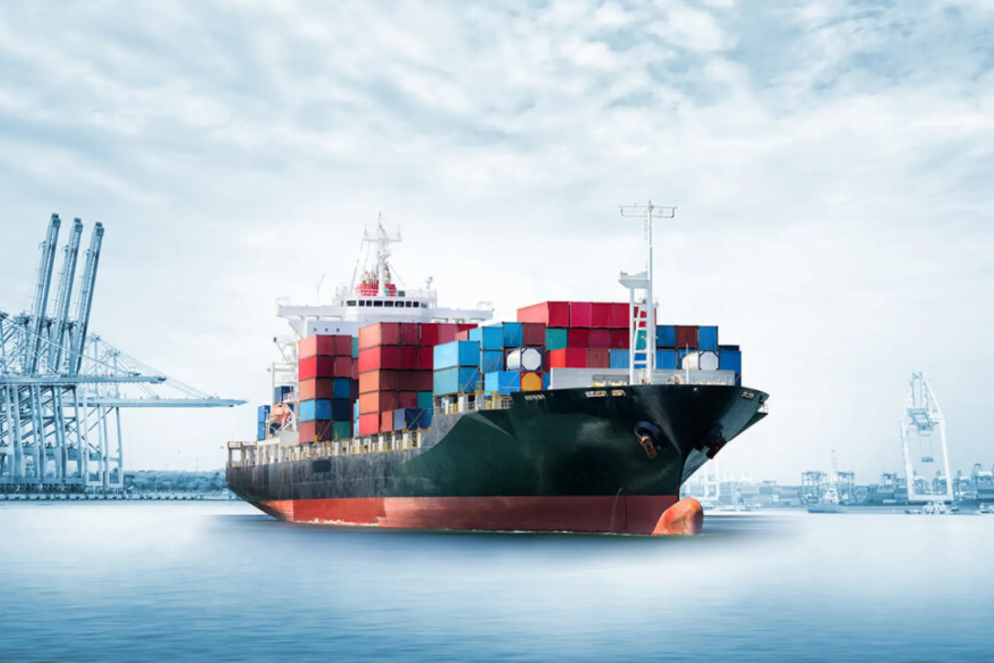Buddy Movers Cargo and Shipping Company (4)