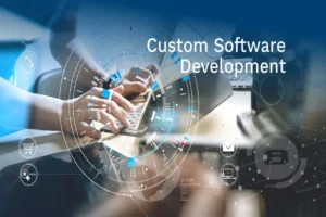 The Power of Custom Software Development