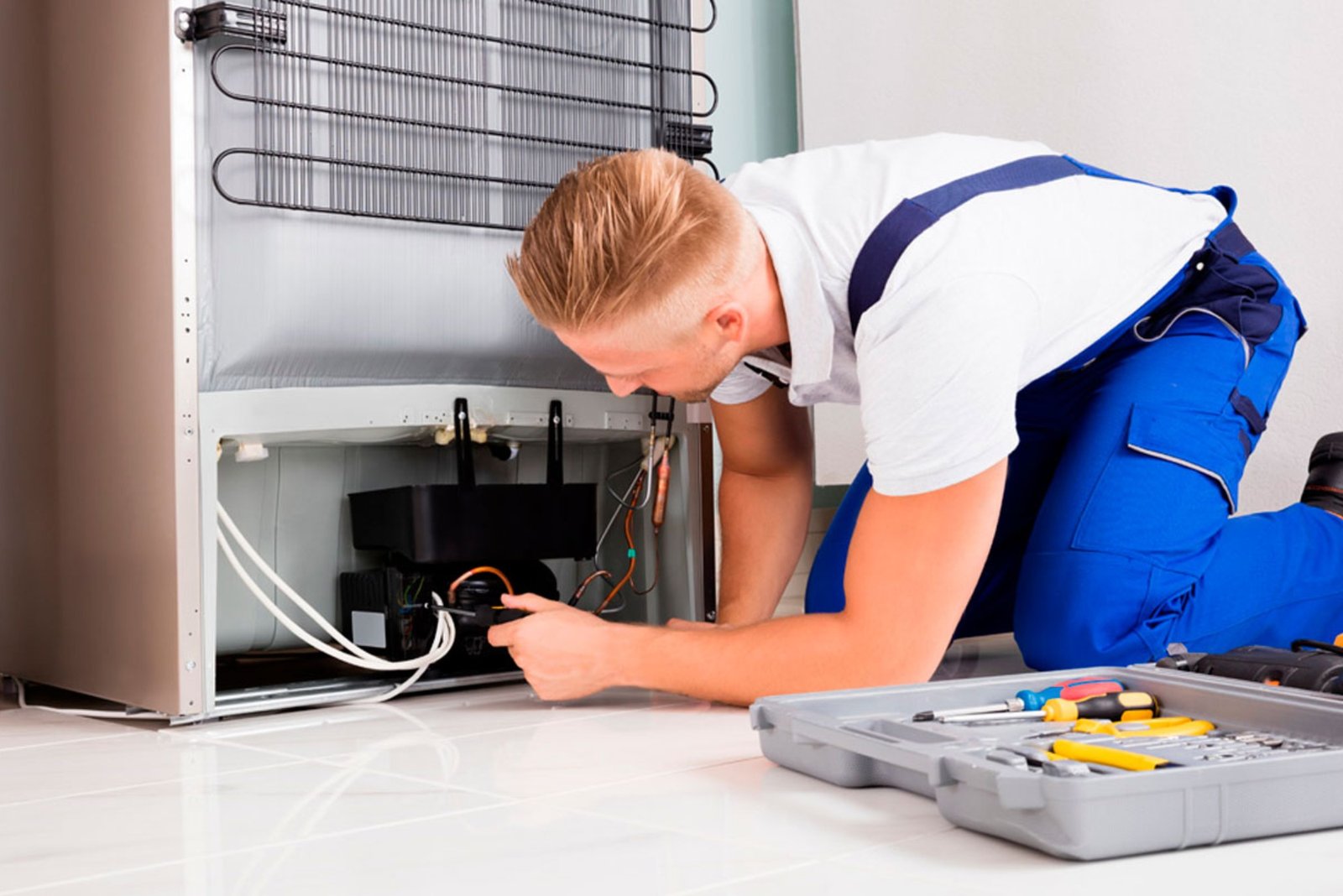 Fridge Repair