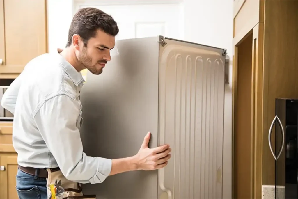 Fridge Repair