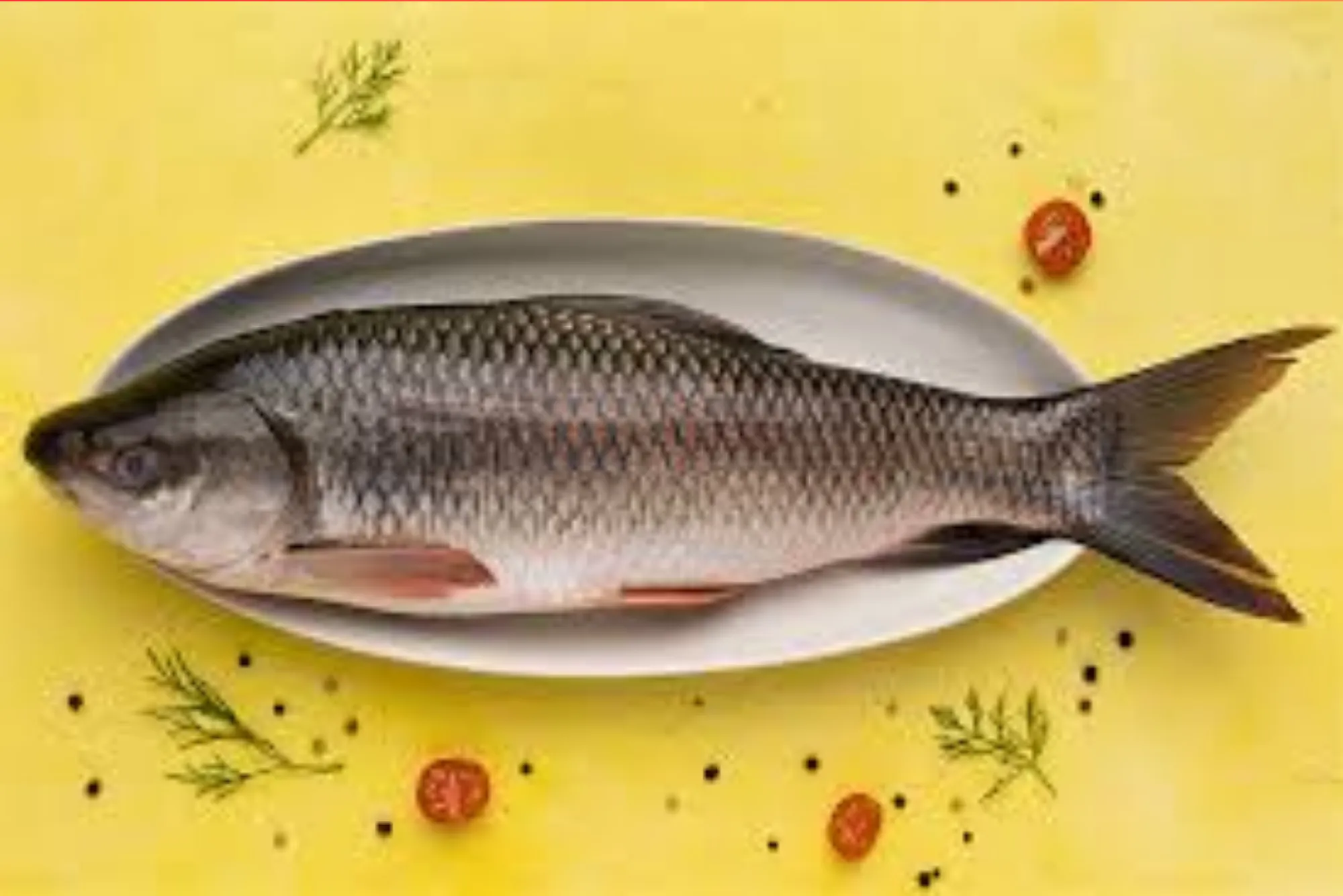 Must-Know Benefits of Rohu Fish in Dubai Nutrition, Taste & More