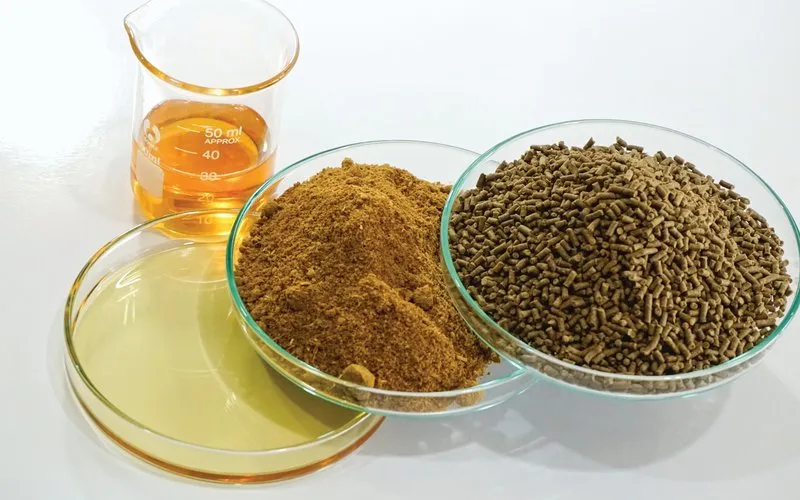 Supplying Fish Meal, Fish Oil, Poultry Meal, and Marine Feeds to 39 Countries: What Makes These Ingredients Essential for Animal Nutrition? For more information https://bluelineworldwide.com/fish-meal-oman/