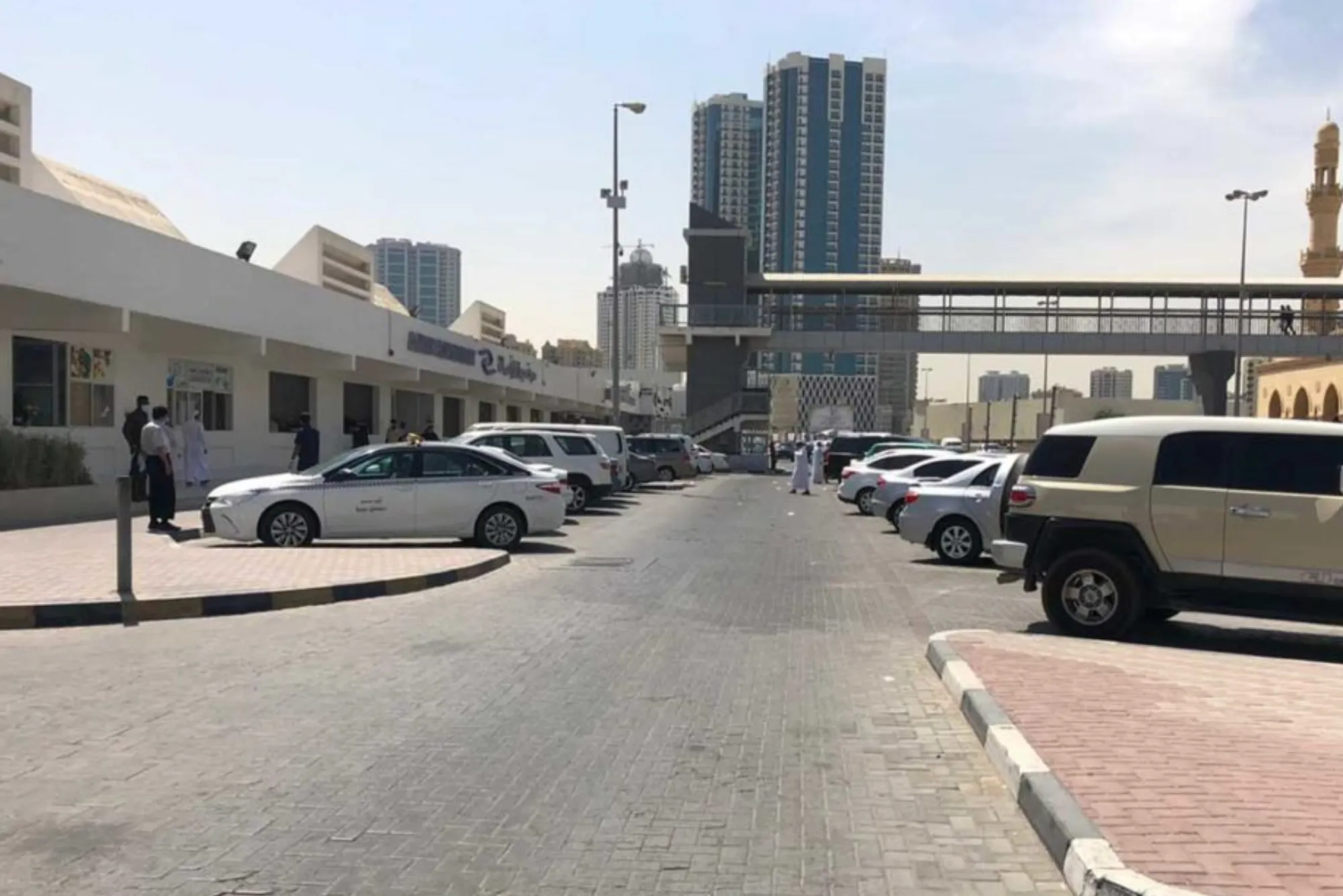 Where to Find the Freshest Ajman Fish Market: A Local’s Perspective